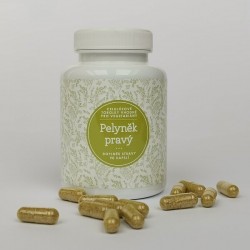 Pelyněk pravý (90 tobolek)